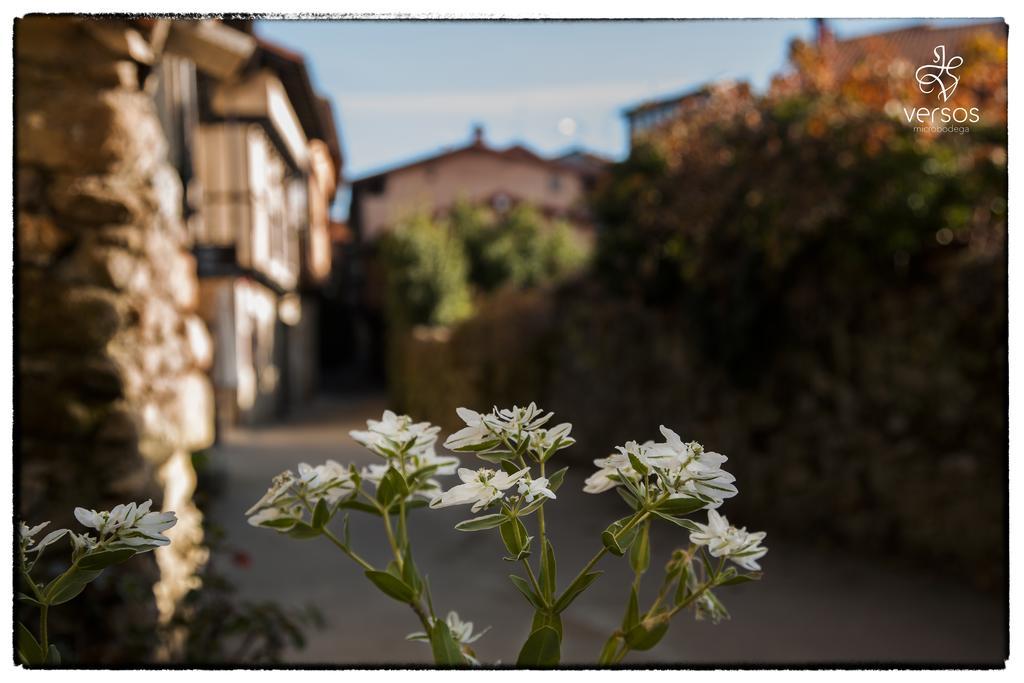 Abadia San Martin Otel San Martín del Castañar Dış mekan fotoğraf